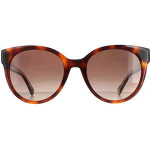 Tommy Hilfiger zonnebril Th 1885/s 05L Ha Havana Brown Gradiënt | Sunglasses