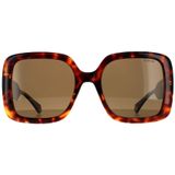 Polaroid zonnebril PLD 6168/s 086 SP Dark Havana Bronze gepolariseerd | Sunglasses