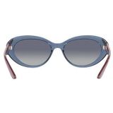 Brillen met correctie Jimmy Choo JC373 807