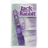 CalExotics - Petite Jack Rabbit