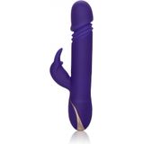 CalExotics - Thrusting Rabbit Signature