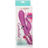 Enchanted Bunny duo vibrator