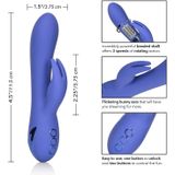 CalExotics Beverly Hills Bunny vibrator