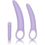 Isabelle Set of 2 Dilators