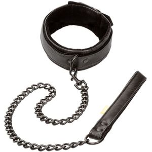 CalExotics - Boundless Collar & Leash - Bondage / SM Collar and leash Zwart