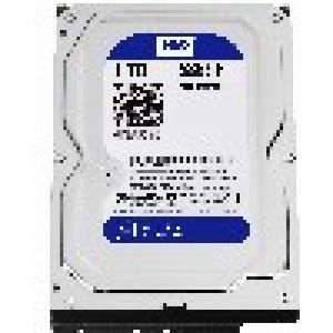Western Digital Blue 3.5 inch 1000 GB SATA III