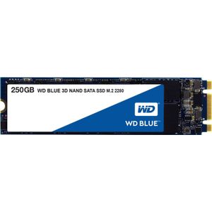WD Blue SSD M.2 - 250 GB - 3D NAND