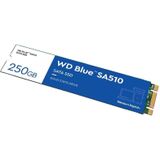WD Blue SA510 SATA SSD 250 GB (tot 555 MB/s, Acronis True Image for Western Digital, gratis proefversie voor drie maanden van Dropbox Professional, 5 jaar beperkte garantie) M.2