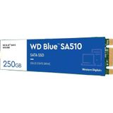 WD Blue SA510 SATA SSD 250 GB (tot 555 MB/s, Acronis True Image for Western Digital, gratis proefversie voor drie maanden van Dropbox Professional, 5 jaar beperkte garantie) M.2