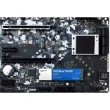 WD Blue SA510 SSD M.2 SATA 500 GB met leessnelheid tot 560 MB/s