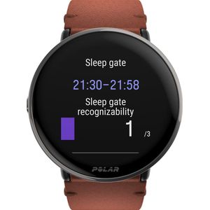 Polar Ignite 3 Titanium/Braun