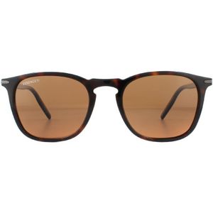 Serengeti Zonnebril Delio 8949 Glanzend Donker Havana Minerale Gepolariseerde Bruin | Sunglasses