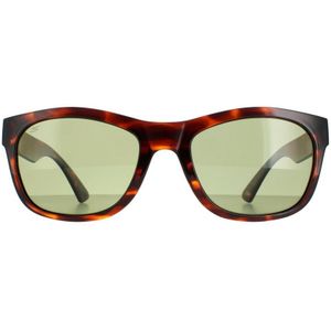 Serengeti Chandler - SS557001 - Shiny Classic Tortoise - Spirit Polarized 555nm