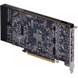 AMD - Radeon PRO W7500 - Videokaart - 8 GB - PCIe