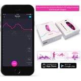 Lovense Ferri Panty Vibrator App Controlled