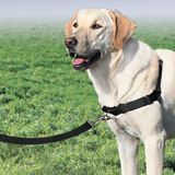 PetSafe® Easy Walk® Geschirr mit Leine - Größe L: Brustumfang 66 - 91 cm