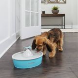 PetSafe® Drinkwell® Butterfly Trinkbrunnen - Trinkbrunnen 1,5 Liter