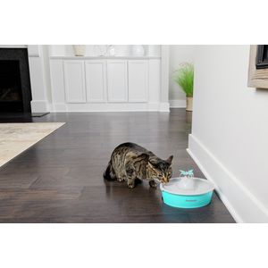 PetSafe Drinkwell® Butterfly Pet Fountain - Drinkfontein voor katten en kleine honden - Met 4 vrijvallende waterstromen of rustige, borrelende stroom - 1,5 liter - Drinkwell Butterfly