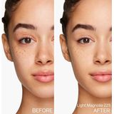 Vloeibare Foundation Shiseido Synchro Skin Self-Refreshing Nº 225 (30 ml) (30 ml)