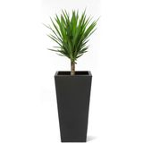 Step2 Tremont Vierkant Bloempot Groot - Onyx Black