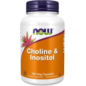 Choline en Inositol 500mg 100v-caps