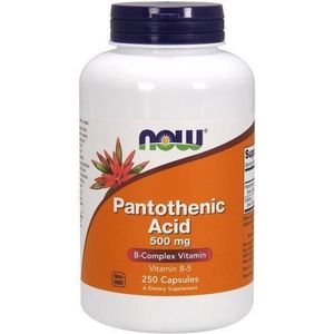 NOW Foods Pantotheenzuur, 500 mg (250 Capsules)