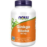 NOW - Ginkgo Biloba Extract - 120 Veg Capsules