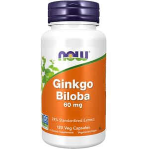 NOW - Ginkgo Biloba Extract - 120 Veg Capsules