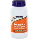 Now Probiotica 4 x 6 acidophilus 60 capsules