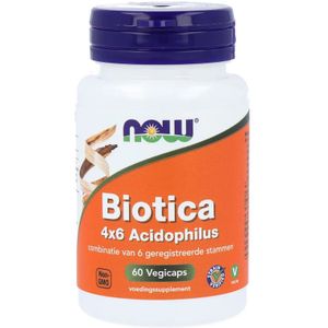 Now Foods - Probiotica 4x6 Acidophilus - Bevat 6 verschillende stammen bacteriën - 60 Vegicaps