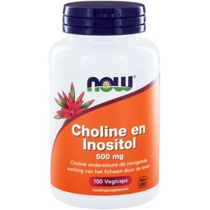 NOW Choline en inositol 500mg  100 Vegetarische capsules