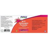 Now Foods - Vitamine B-12 Geheugen Formule 1000 µg - 100 Zuigtabletten