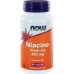 Now Niacine flush vrij 250mg 90 capsules