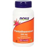 Pantothenic Ac/Pantotheenzuur