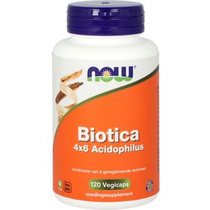 NOW - Biotica 4 x 6 - Probiotica - 120 Vcaps