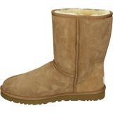 UGG® Classic Short - Kuitlaarzen - Brown - Leder