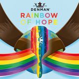 Denman D90L Tangle Tamer Ultra Rainbow