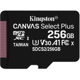 Kingston 256GB microSDXC geheugenkaart - A1 Video Class V30 UHS-I - zonder SD adapter