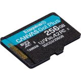 Kingston SDCG3/256GBSP micro SD-kaart (256 GB microSDXC Canvas Go Plus 170R A2 U3 V30 zonder SD-adapter)