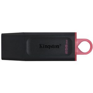 Kingston USB Stick - DTX - 256GB - Zwart