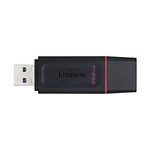 Kingston USB Stick - DTX - 256GB - Zwart