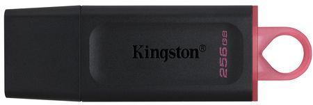 Kingston USB Stick - DTX - 256GB - Zwart