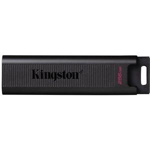 USB stick Kingston DTMAX/256GB 256 GB