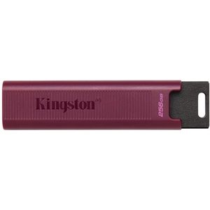 USB stick Kingston DTMAXA/256GB 256 GB