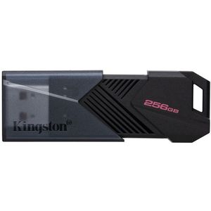 Kingston USB Stick DTXON - 256GB - USB-A