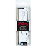 Kingston Technology FURY Beast RGB geheugenmodule 1 x 32 GB 6000 MT/s