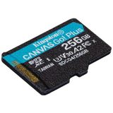 Kingston - Canvas Go Plus - microSDXC Geheugenkaart - 256GB - 200MB/s A2 U3 V30