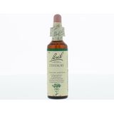 Bach Flower remedies duizendguldenkruid 04 20ml