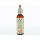 Bach Flower remedies kerspruim 06 20ml