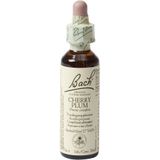 Bach Flower remedies kerspruim 06 20ml
